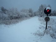 Two Fifty Three Kelvin