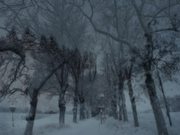 Two Fifty Three Kelvin