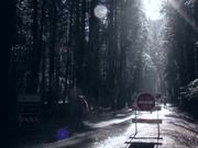 Yosemite Winter Backpacking