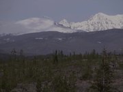 The Higher Purpose Project Trailer