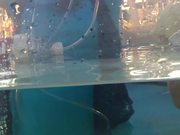 Science of Submerging