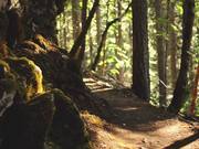 Oregonifornia Part Two