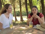 Common Treasury Farm