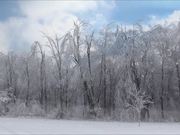 Ice Storm