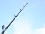 VetCatch Organization