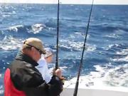 VetCatch Organization