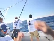 VetCatch Organization