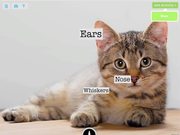 TinyTap Creating a Soundboard Walkthrough
