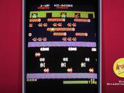 Frogger Game