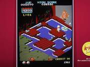 Congo Bongo Arcade Game