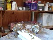 Captain Danger And Wasps