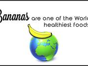 Bananas - Science Video