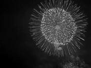 Fireworks BW
