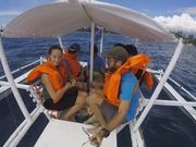 APO Island