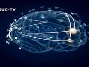 Israel Brain Technologies