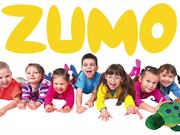 Zumo Learning System