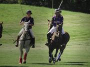 Niagara and Everything In Between