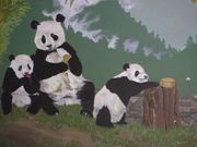 Panda Babies