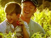 Making Vegetables - Promo