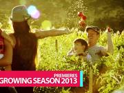 Making Vegetables - Promo