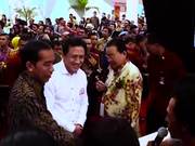 Tone mFish Case Study