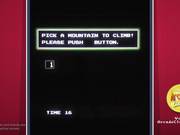 Ice Climber Arcade Game