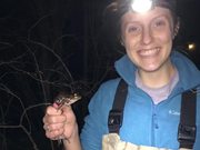 Temperate Frog Breeding Site Preference