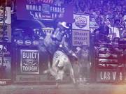 PBR Campaign 2016