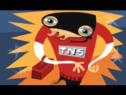 Total Network Solutions