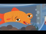 Total Network Solutions