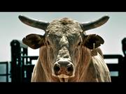 PBR Commercial