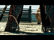 PBR Commercial