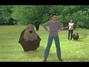 A Chicken Named Clyde