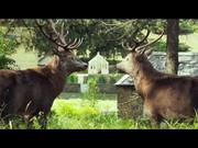 Peter Rabbit Trailer