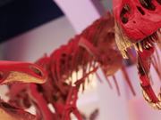 Dino Stomp Interactive Video Wall