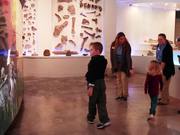 Dino Stomp Interactive Video Wall