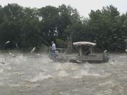 Silent Invaders - Asian Carp