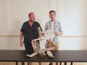 Make Your Own Chimp Puppet