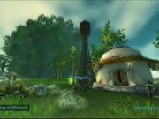 World of Warcraft - Feature