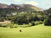 Visa Video: Feel Faster Flow Faster