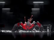 Alivia Foundation Video: Crayfish