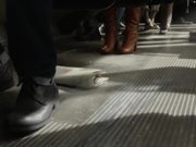 DirecTV Commercial: Chase