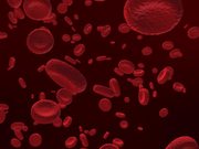 Red Blood Cells