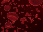 Red Blood Cells