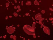 Red Blood Cells