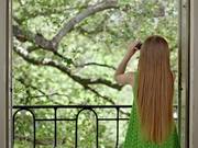 Google Video Bird Watcher