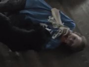 Project 3 Animals and Pets