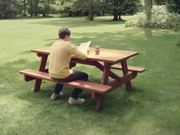 Bee Friendly Video: Swat