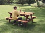 Bee Friendly Video: Swat