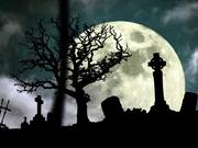 Halloween Graveyard